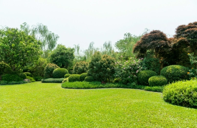 Zadbany ogród